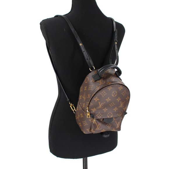 Louis Vuitton Monogram Palm Springs Mini Backpack Brown Black Cowhide Trim Bag - Picture 2 of 13
